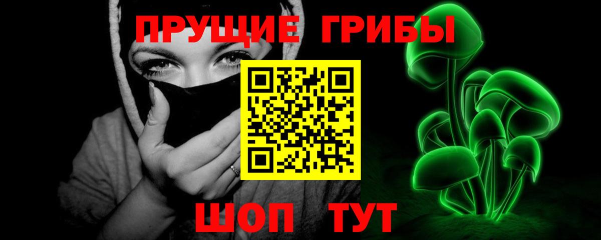 Псилоцибиновые грибы Cubensis Ессентуки